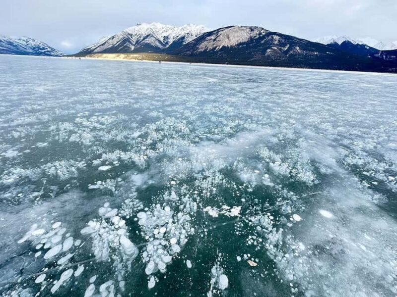 Banff: Banff & Yoho National Park Lakes and Gondola Tour - Key Points