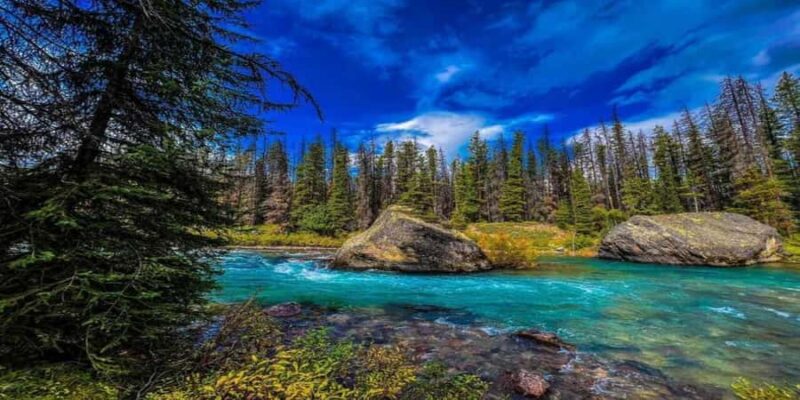 Banff: Banff & Yoho National Park Lakes and Gondola Tour - Visiting Lake Louise and the Fairmont Château