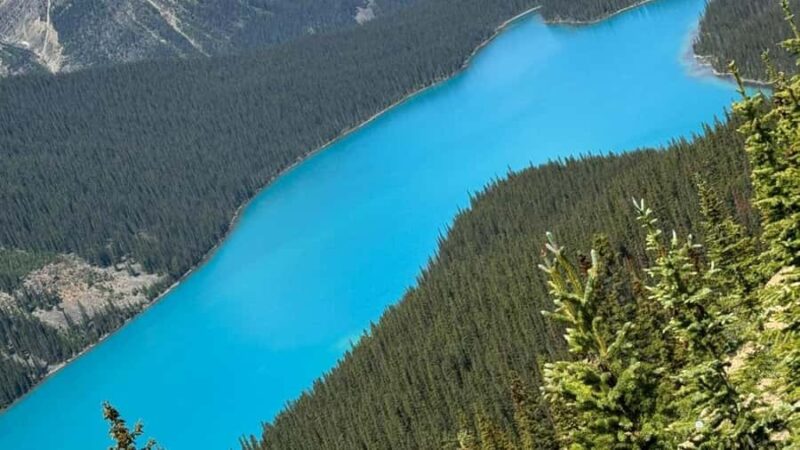 Banff/Calgary/Canmore: Crowfoot Glacier, 5 Lakes & Canyon - Guides and Customer Experience