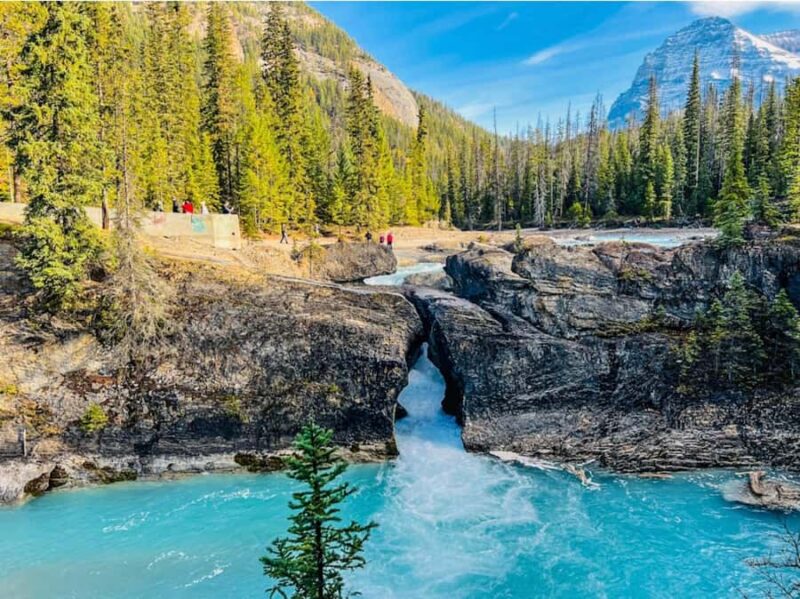 Banff/Calgary: Louise, Moraine/Bow, Emerald & Peyto 4 Lakes - Discover the Beauty of the Canadian Rockies in a Full-Day Tour