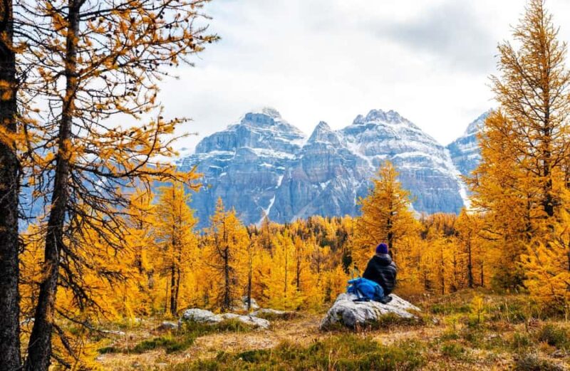 Banff/Canmore: Larch Valley & Moraine Lake shuttle RoundTrip - Key Points