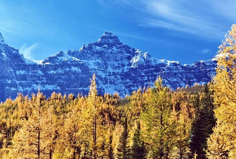 Banff/Canmore: Larch Valley & Moraine Lake shuttle RoundTrip - The Larch Valley Hike: Self-Guided With Ample Time