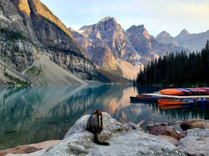 Banff/Canmore: Larch Valley & Moraine Lake shuttle RoundTrip - Practical Details and Seasonal Considerations