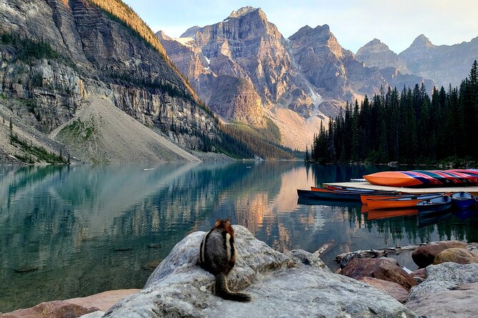Banff/Canmore Moraine Lake & Lake Louise Hike, Canoe or Sightsee - Discovering Lake Louise’s Vastness and Activities