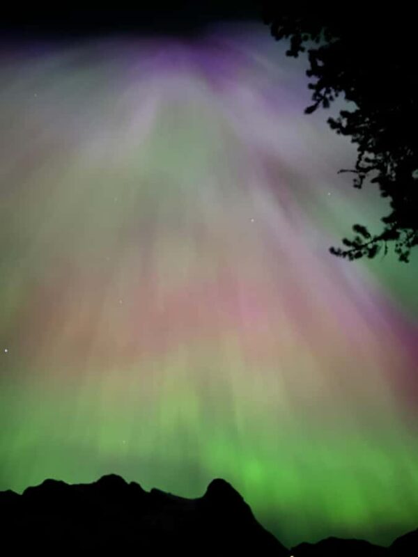 Banff/Canmore: PRIVATE Stargazing & Northern Lights Tour 3hr - Who Should Consider This Tour