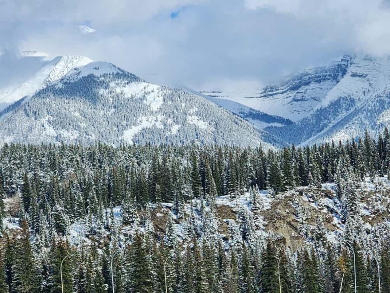 Banff Canmore: Wildlife Focused Guided Snowshoeing Adventure - Discover the Canadian Rockies’ Winter Serenity at Banff Eco-Transit Hub