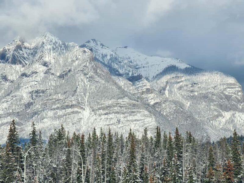 Banff Canmore: Wildlife Focused Guided Snowshoeing Adventure - Wildlife and Animal Tracks in the Snow