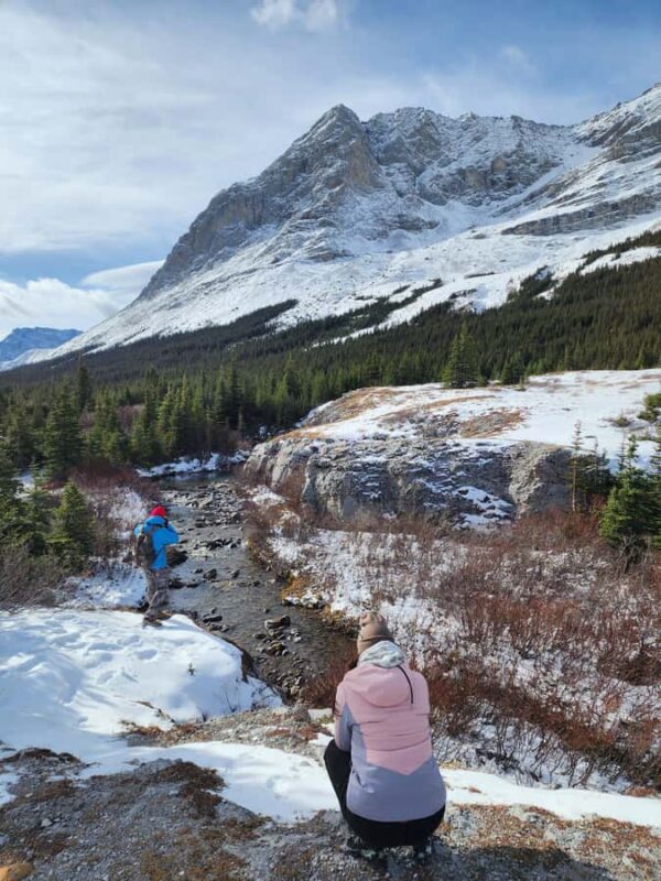 Banff Canmore: Wildlife Focused Guided Snowshoeing Adventure - Learning from a Biologist Guide with Wildlife Stories