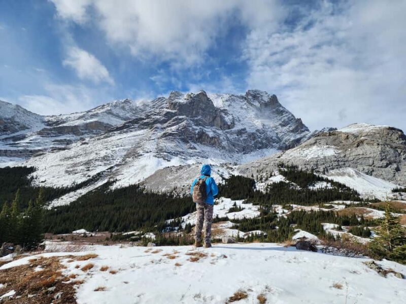 Banff Canmore: Wildlife Focused Guided Snowshoeing Adventure - The Importance of Responsible Wildlife Observation