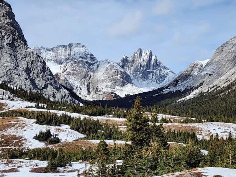 Banff Canmore: Wildlife Focused Guided Snowshoeing Adventure - Pricing, Cancellation, and Booking Flexibility