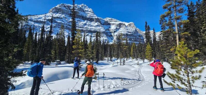 Banff: Chickadee Valley Snowshoe & Marble Canyon Walk - Key Points