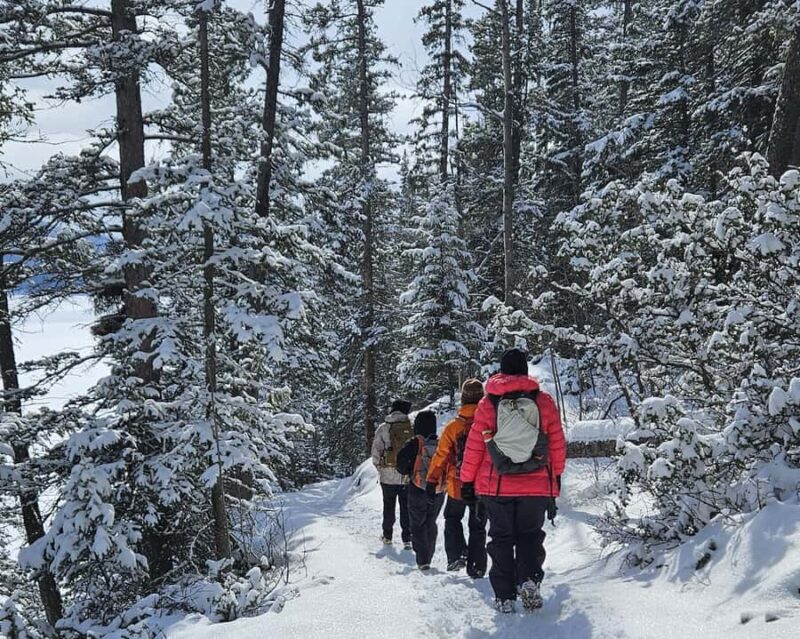 Banff: Chickadee Valley Snowshoe & Marble Canyon Walk - Logistics and Group Size