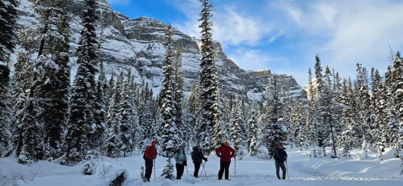 Banff: Chickadee Valley Snowshoe & Marble Canyon Walk - Why This Tour Stands Out