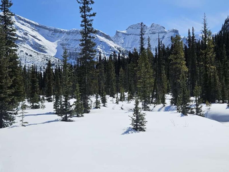 Banff: Chickadee Valley Snowshoe & Marble Canyon Walk - Frequently Asked Questions