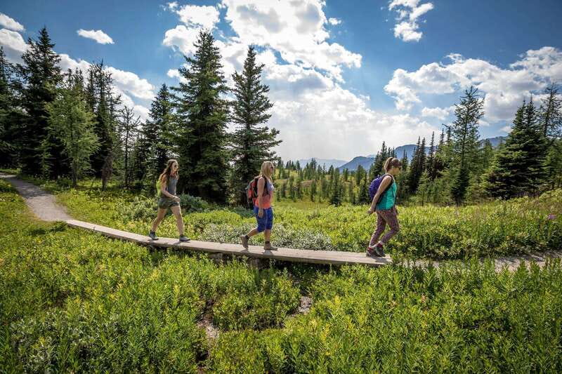 Banff: Edible and Medicinal Plants Nature Walk - Walk Through Banffs Natural Pharmacy: Starting Point and Meeting Logistics