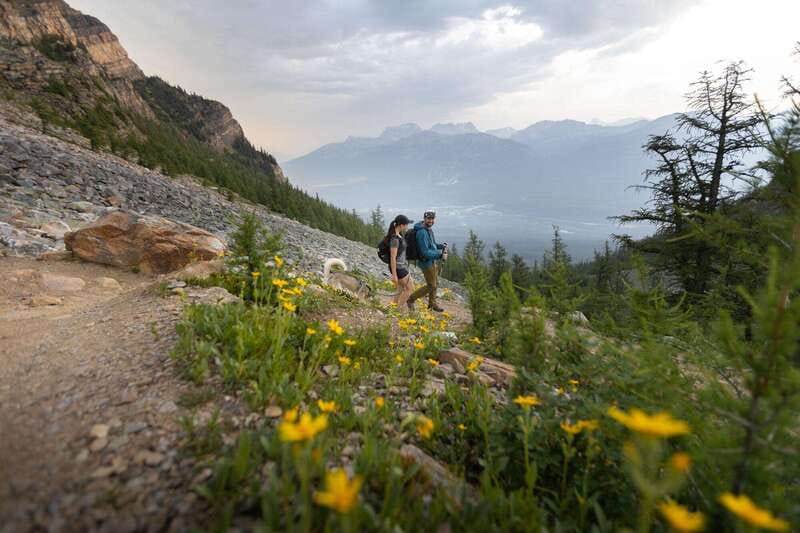 Banff: Edible and Medicinal Plants Nature Walk - Practical Tips for a Successful Walk in Banff