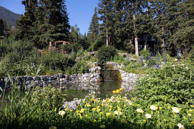 Banff: Edible and Medicinal Plants Nature Walk - Accessibility and Suitability for Different Visitors