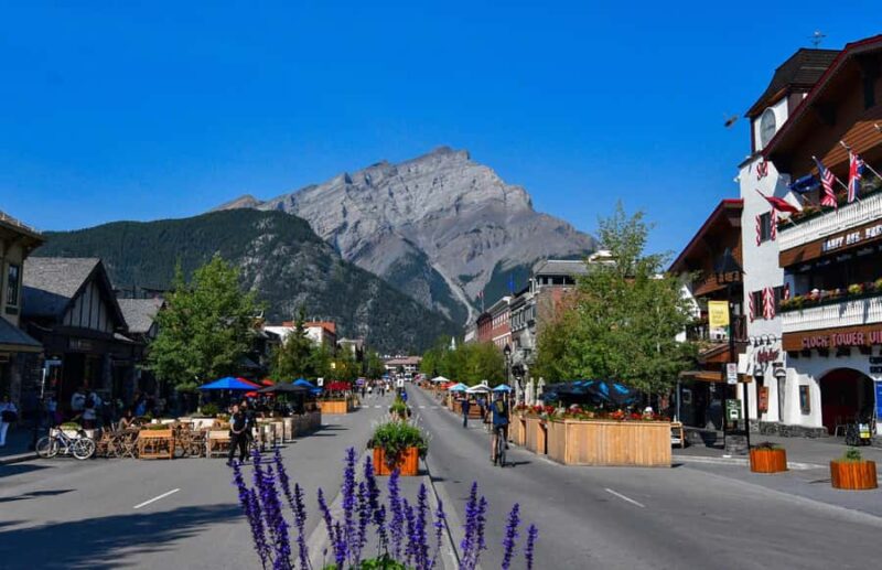 Banff: Emerald Lake, Lake Louise, Takakkaw Falls & Town Tour - Practical Details: Logistics and Comfort