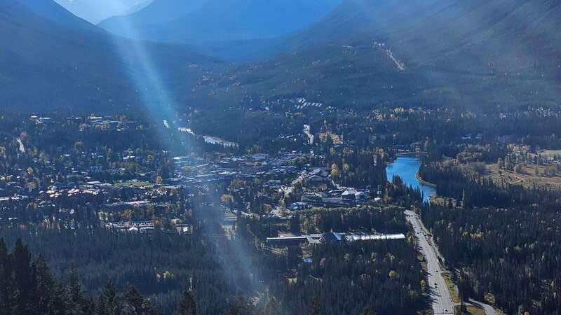 Banff: Evening Wildlife Safari Guided Tour - Experience Level and Accessibility