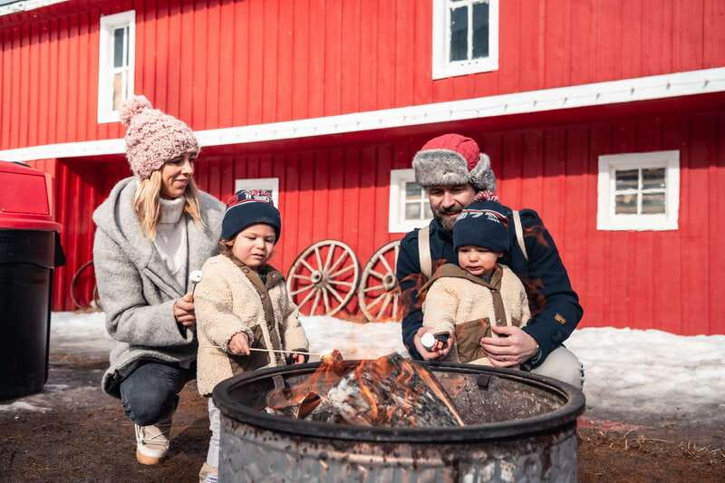 Banff: Family Friendly Horse-Drawn Sleigh Ride - Discover the Charm of Banffs Family-Friendly Horse-Drawn Sleigh Ride