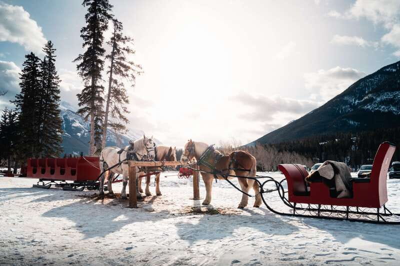 Banff: Family Friendly Horse-Drawn Sleigh Ride - Cozy Up by the Campfire After the Ride