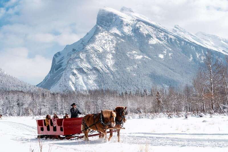 Banff: Family Friendly Horse-Drawn Sleigh Ride - Practical Details and Booking Flexibility