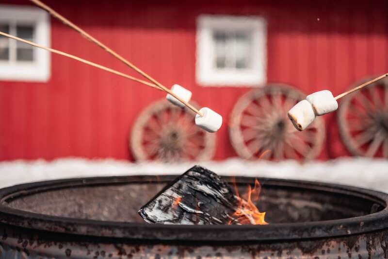 Banff: Family Friendly Horse-Drawn Sleigh Ride - Final Thoughts: A Classic Banff Winter Experience
