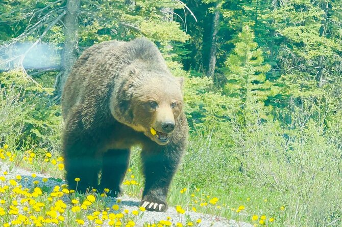 Banff Gondola Hot Springs Bow Falls and Three Lakes tour - Discovering Lake Minnewanka and Two Jack Lake