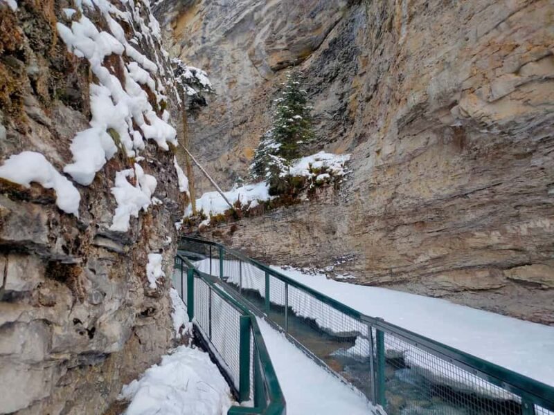 Banff Gondola Johnston Canyon Lake Minnewanka Banff day tour - Free Time in Banff Town’s Mountain Village Atmosphere