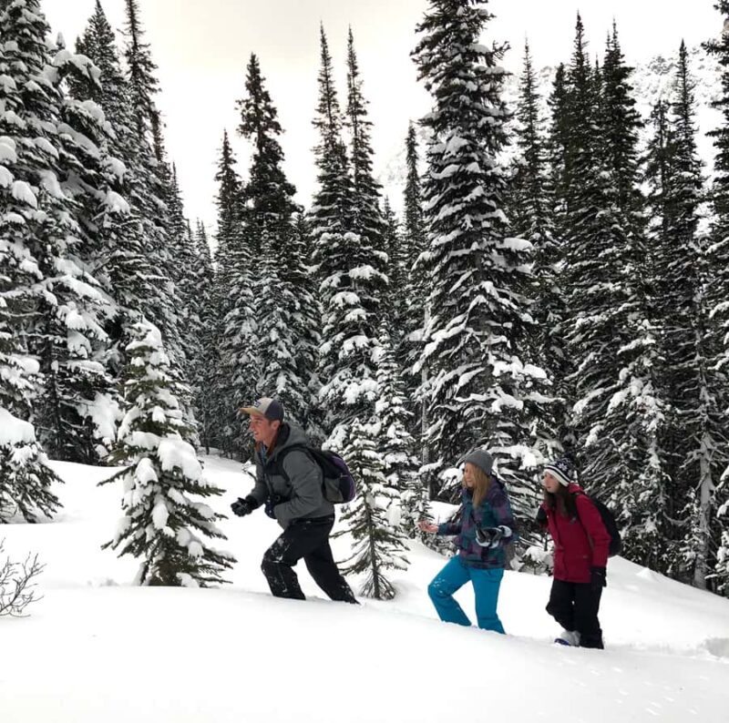 Banff/Jasper: Canadian Rockies Helicopter & Snowshoe Tour - The Guided Snowshoe Adventure