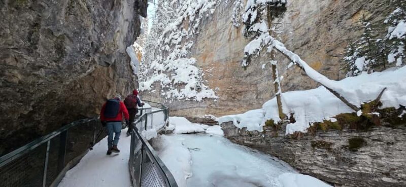 Banff: Johnston Canyon, Marble Canyon, & Lake Louise Tour - What Makes This Tour Stand Out?