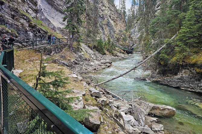 Banff Lake Louise and Icefield Parkway Private Tour Sightseeing - Johnston Canyons Walk Through Limestone Formations