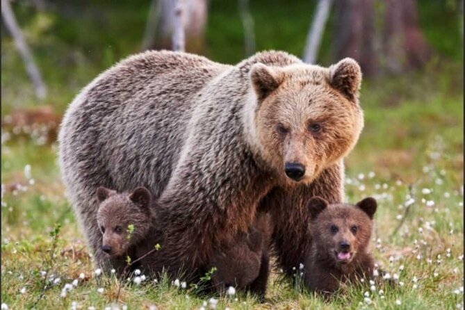 Banff: Lake Louise and Moraine Lake Tour with Pickup & Drop - Explore Banff’s Iconic Lakes with a Convenient Pickup & Drop-Off Service