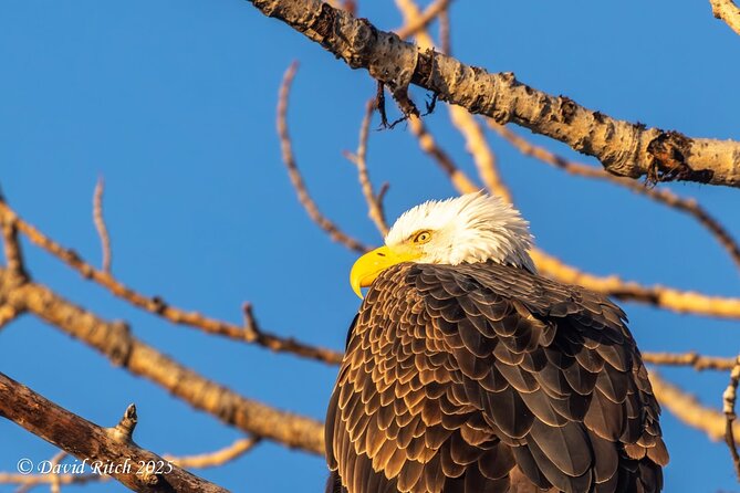 Banff & Lake Louise Custom Guided Adventures; Views, Hidden Gems - Exploring Banff’s Hermit’s Cabin and Mountain Town Life