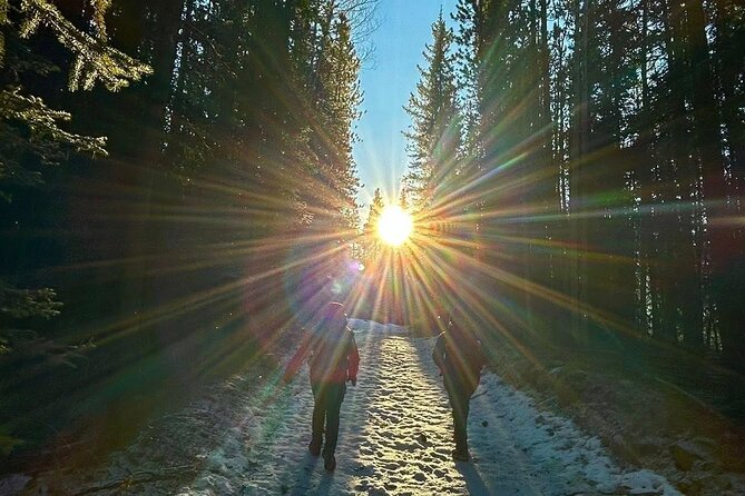 Banff & Lake Louise Custom Guided Adventures; Views, Hidden Gems - Practical Details and Booking Insights