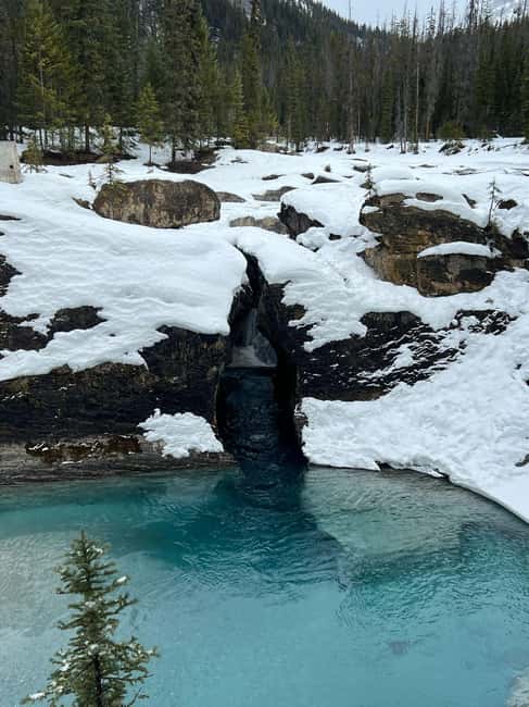 Banff: Lake Louise, Emerald Lake, and Johnston Canyon Tour - Flexibility and Weather Considerations
