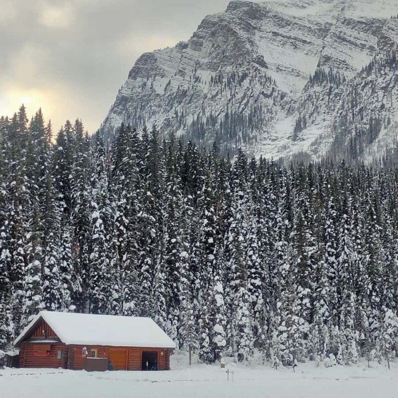 Banff: Lake Louise, Emerald & Peyto Lake Tour - Convenient Logistics and Group Comfort