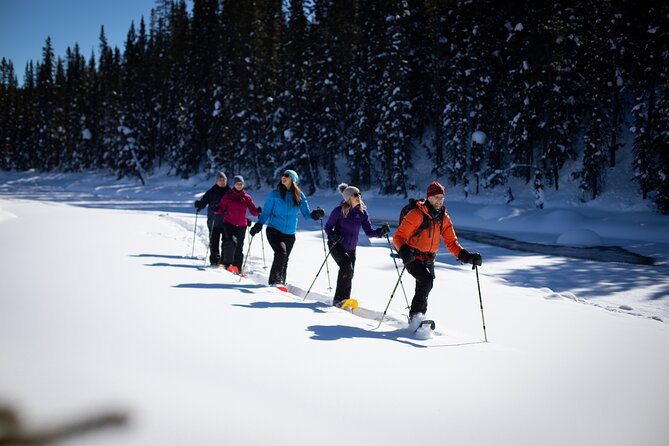 Banff, Lake Louise & Johnston Canyon | Winter Wonderland Tour - Suitable for Active and Curious Visitors