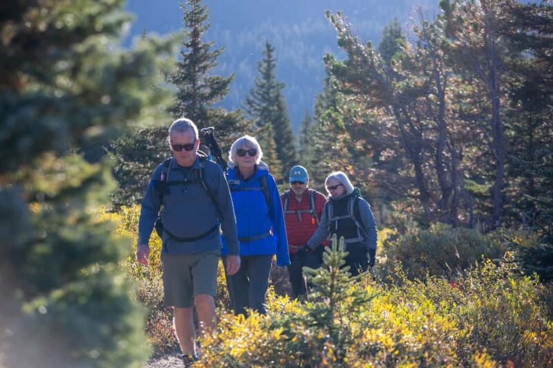 Banff: Larch Valley Guided Hike with Lunch & Transfers - The Scenic Ascent into Larch Valley