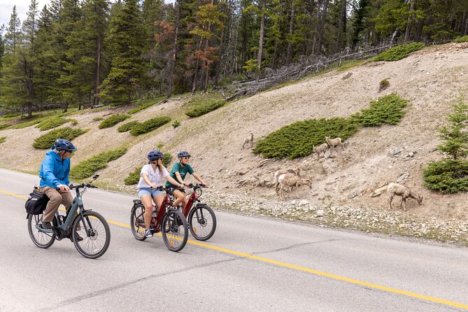 Banff Mountain Lakeside - E-bike Tour - Discover Banff’s Lakes and History on an E-bike Tour for $131.54