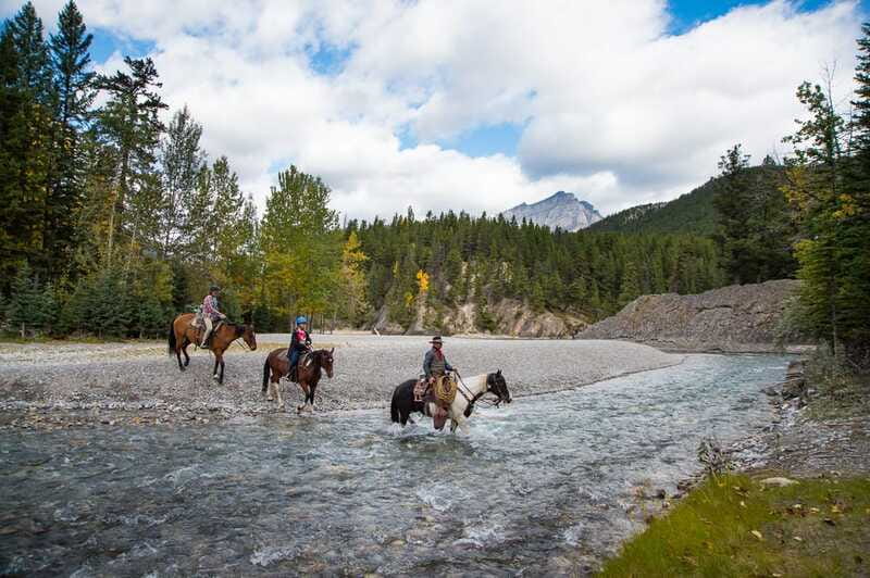 Banff National Park: 1-Hour Spray River Horseback Ride - Customer Satisfaction and Tour Reputation
