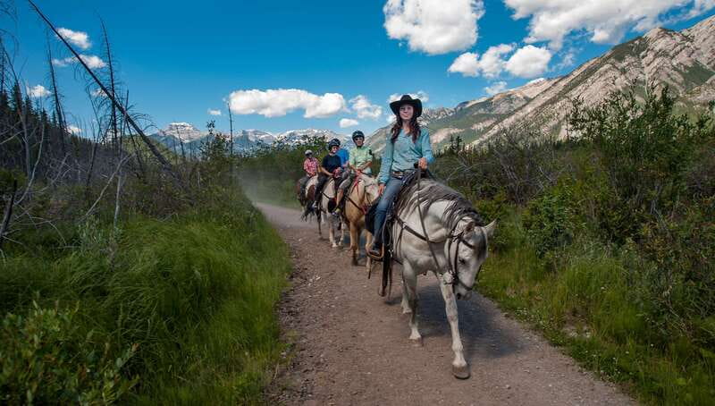 Banff National Park: 2-Hour Sundance Loop Horseback Ride - Key Points