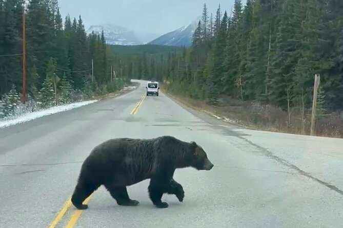 Banff National Park Exclusive Small Group Tour - Bow Falls and the Vibrant Autumn Backdrop