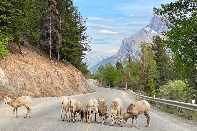 Banff National Park Exclusive Small Group Tour - Practical Details: Transportation, Guides, and Equipment