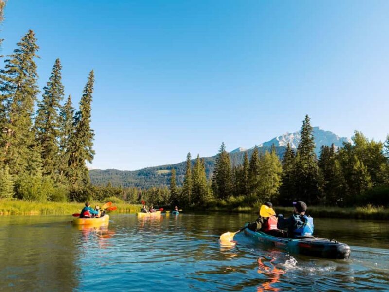 Banff National Park: Kayaking Trip - Discover the Serenity of Banff’s Bow River Kayaking Tour