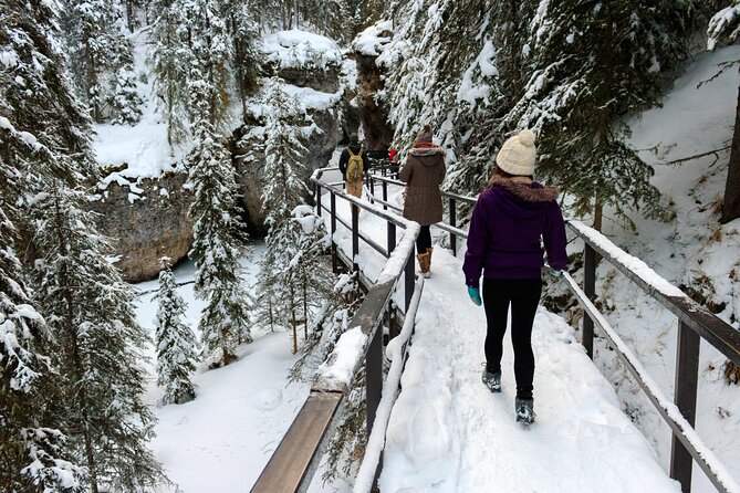 Banff National Park & Lake Louise FULL DAY PRIVATE TOUR - See Bow Falls and Its Cinematic Fame