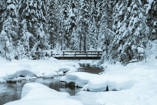 Banff National Park & Lake Louise FULL DAY PRIVATE TOUR - Capture the Iconic Views from Surprise Corner