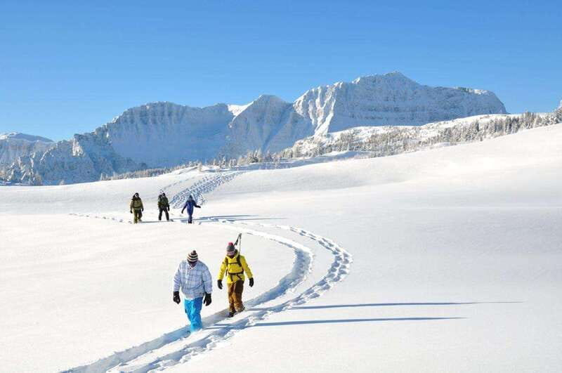 Banff National Park: Sunshine Meadows Snowshoeing Experience - The Expertise of the Guides and Small Group Atmosphere