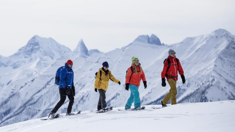 Banff National Park: Sunshine Meadows Snowshoeing Experience - What to Expect During the Tour