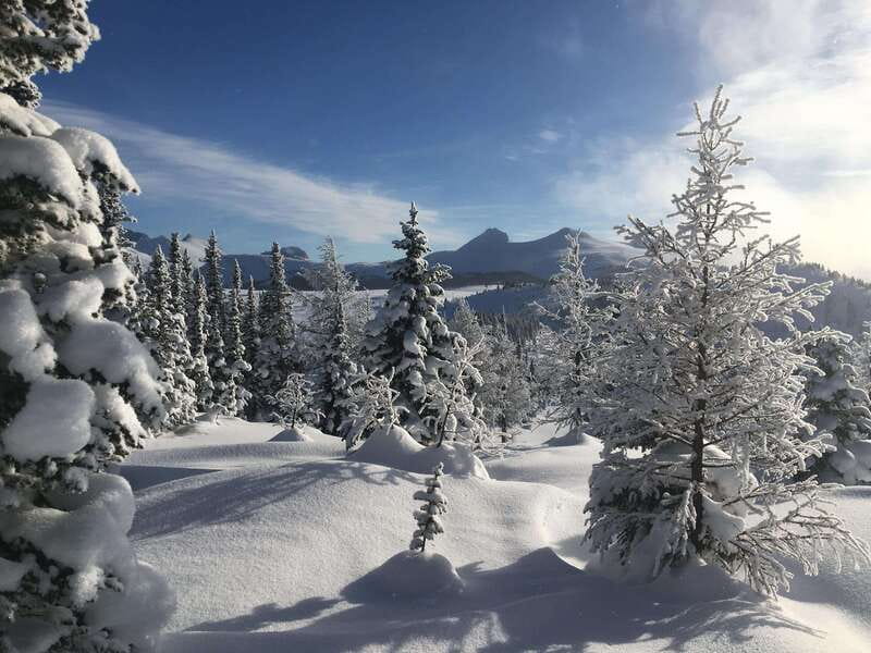 Banff National Park: Sunshine Meadows Snowshoeing Experience - The Experience Provider and Booking Flexibility